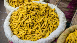 ছবি: অ্যালামি 