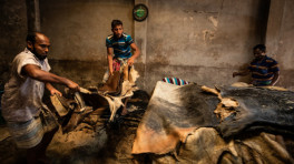 ছবি-টিবিএস 