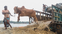 প্রতীকী ছবি: টিবিএস/রাজীব ধর