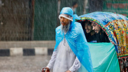 ফাইল ছবি: সৈয়দ জাকির হোসেন/টিবিএস