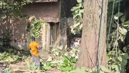 ছবি: টিবিএস