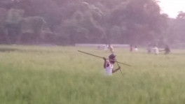 ছবি: টিবিএস 