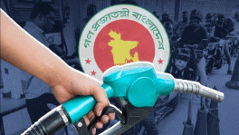 টিবিএস কোলাজ