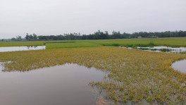 ছবি: টিবিএস