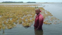 ছবি: টিবিএস 