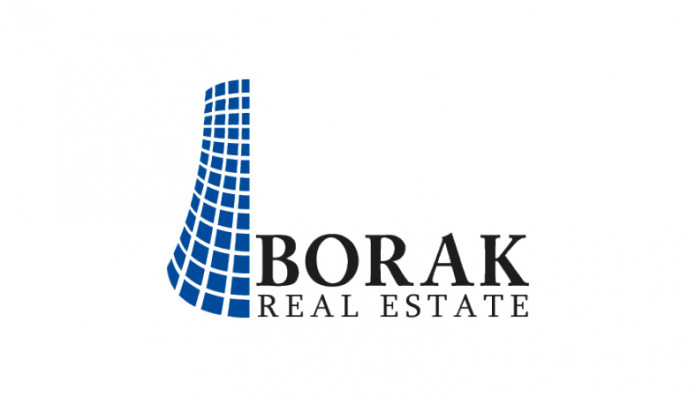 Borak Real Estate Going Public To Raise