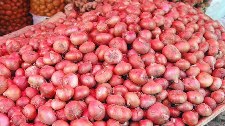 Demand for China's quick-frozen onions has increased significantly in the  European market