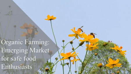 Organic farming