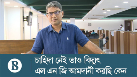 Govt pays for unnecessary power and LNG import