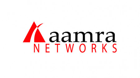 Aamra Networks posts 39% revenue growth in IT support, software services