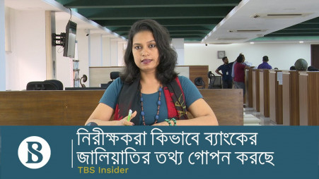 How are the auditors hiding bank fraud information