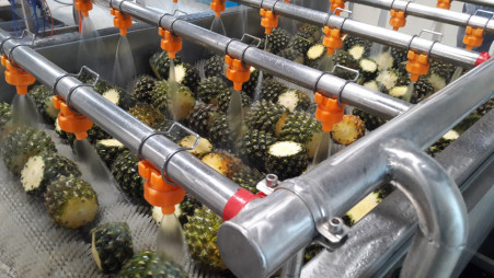 Selected pineapples get washed and sanitised before it could be turned to chips. Photo: Courtesy