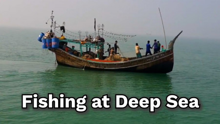 Fishing at Deep Sea