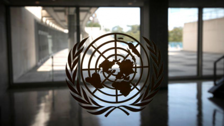 UN rights watchdog raises concerns about Dubai princess