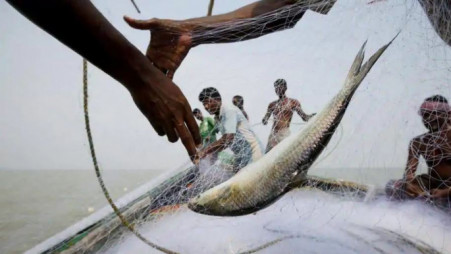 File photo of fishermen catching hilsha. Photo: Reuters