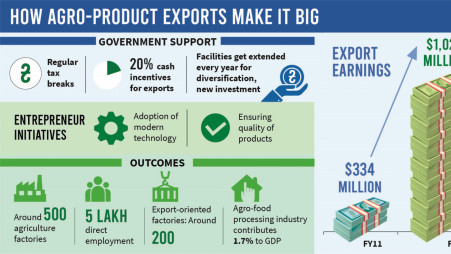 Tax break, incentives boost agro exports to billion dollars
