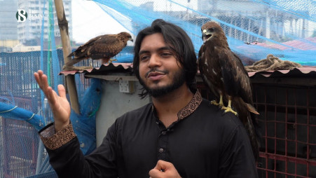 Friendship with Hawk