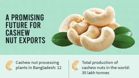 Bangladesh moves to enter global cashew nut market