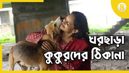 ARB: Safe home for barren Dogs