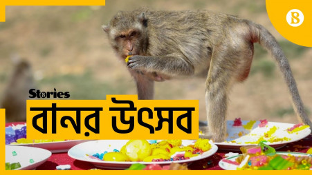 Monkey festival returns to Thailand