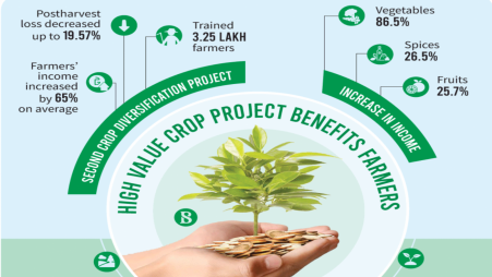 Young farmers take interest in high-yield crops