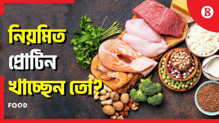 Foods that have the most protein