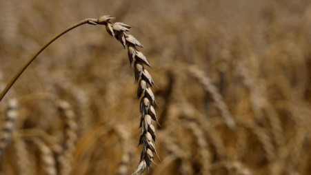File Photo: Reuters