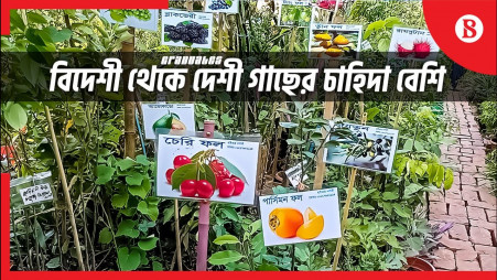 Cumilla tree fair packed with local and foreign trees
