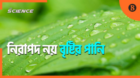 Rainwater no longer safe to drink anywhere on Earth