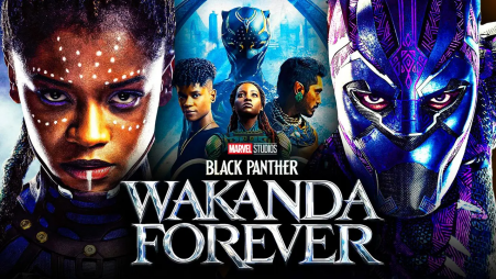 Black Panther sequel ignites box office with $330 million global debut |  The Business Standard