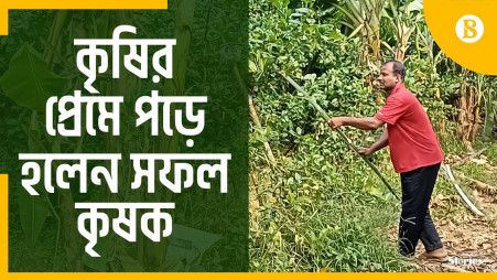 How mixed farming benefits Cumilla farmer