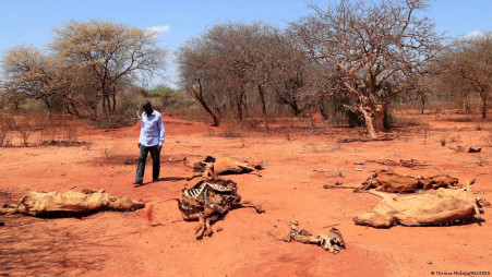 African countries are among those feeling the effects of worsening extreme weather events.  Photo: Reuters 