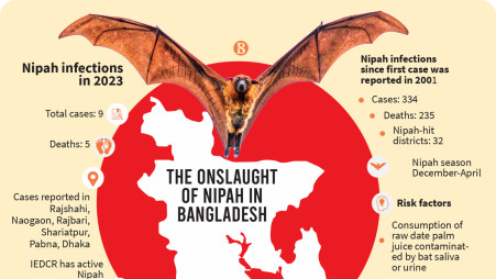 The entire districts now liable to Nipah virus: IEDCR