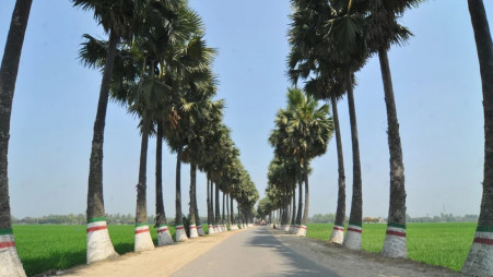 Representational Image