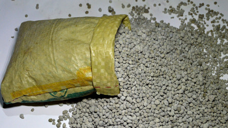 Representational Photo: Collected