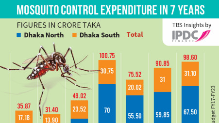 Pesticide resistance hurting dengue control activities: Study