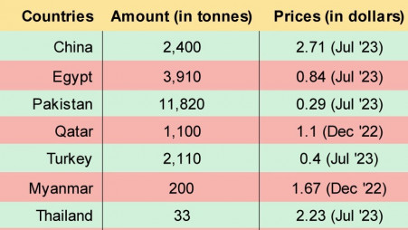 Govt allows onion imports from 9 more countries 