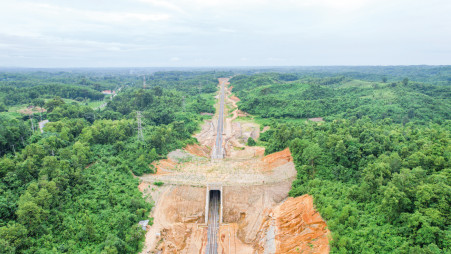 Approximately 27 kilometers of the 102-kilometer railway line passes through Chunati Wildlife Reserve, Fasiakari Wildlife Reserve and Medakocopia National Park.Photo: Mohammad Minhaj Uddin
