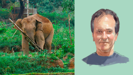 A tribute to the last wild elephants in Bangladesh
