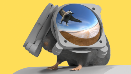 This illustration shows the VR setup, with an 'overhead threat' projected into the top field of view. Pic: Dom Pinke/Northwestern University