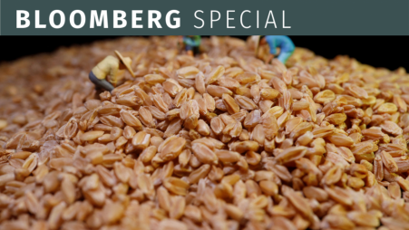 Russia’s July exit from the Black Sea deal threatened to curb global grain supplies and shoot up prices. PHOTO: REUTERS