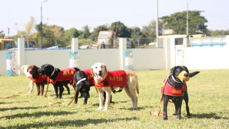 Chattogram Metropolitan Police arranged a drill of its dog squad which will be deployed on the election day. Photo: Courtesy