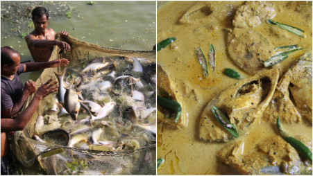 Overall fish consumption in Bangladesh has increased over decades but the younger generation are less interested in eating fish. However, a change in the cooking method of fish might be helpful. Photo: Syed Zakir Hossain