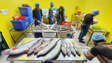Farzana Akhter’s brand ‘River Fish’ currently offers more than 80 varieties of local fish from rivers and haors. Photo: Mehedi Hasan