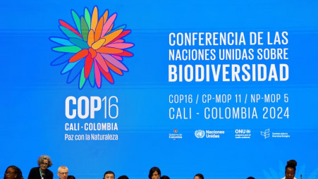 Colombia's Environment Minister Susana Muhamad and other participants attend the opening plenary of the 16th United Nations Biodiversity Summit (COP16), in Yumbo, Colombia October 21, 2024. Photo: REUTERS/Luisa Gonzalez