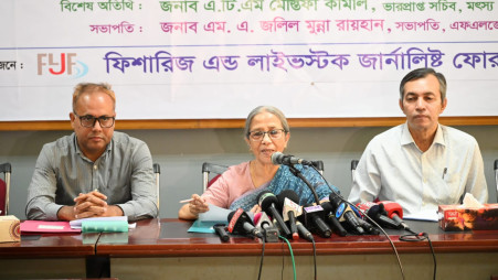 Fisheries and Livestock Adviser Farida Akhter speaks at a seminar in Dhaka on 11 November. Photo: TBS