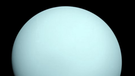An image of the planet Uranus taken by the NASA spacecraft Voyager 2 in 1986. Photo: NASA/JPL/Handout via REUTERS/File Photo