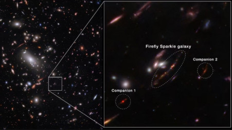 An image acquired by the James Webb Space Telescope, using the NIRCam instrument, shows a newly identified galaxy, the Firefly Sparkle, that is in the process of assembling and forming stars, and existed about 600 million years after the Big Bang, along with two neighboring galaxies. Overlayer added by source. NASA, ESA, CSA, STScI/Chris Willott (NRC-Canada), Lamiya Mowla (Wellesley College), Kartheik Iyer (Columbia)/Handout via REUTERS
