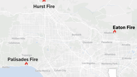 A wildfire ripped through an upscale coastal area of Los Angeles overnight, with Hollywood celebrities among those evacuating by car and on foot. 