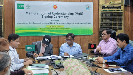 IRRI and DAE collaborate to enhance rice sector innovation